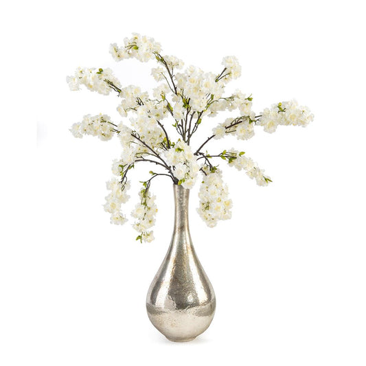 Silver Teardrops Plant