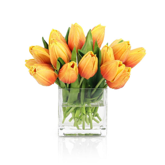 Sunburst Tulips